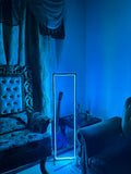 GlowEdge RGB Floor Lamp (Remote and App Controlled)